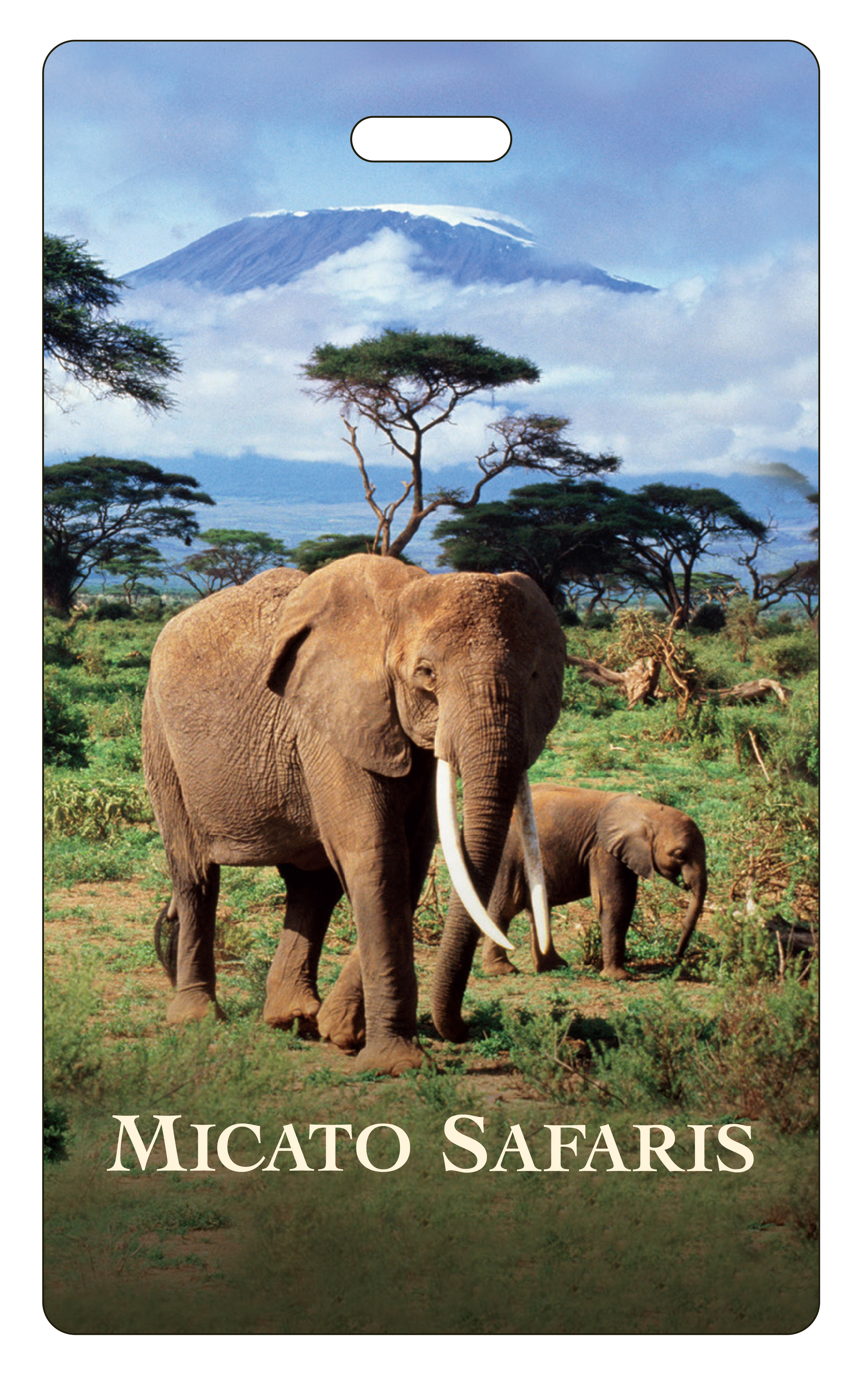 KANG30_LS_LO_3X5__1744306000_592