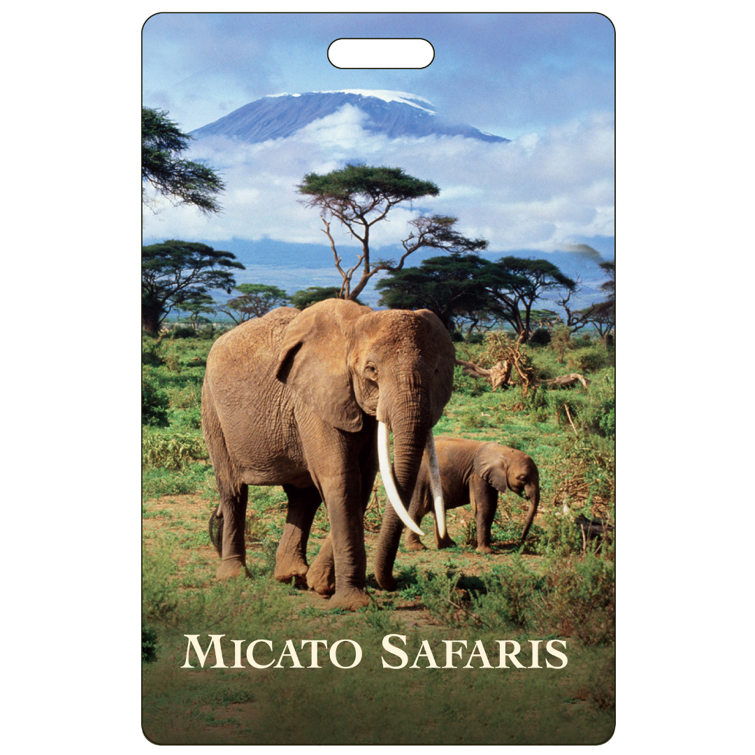 KANG_30__1744317805_348