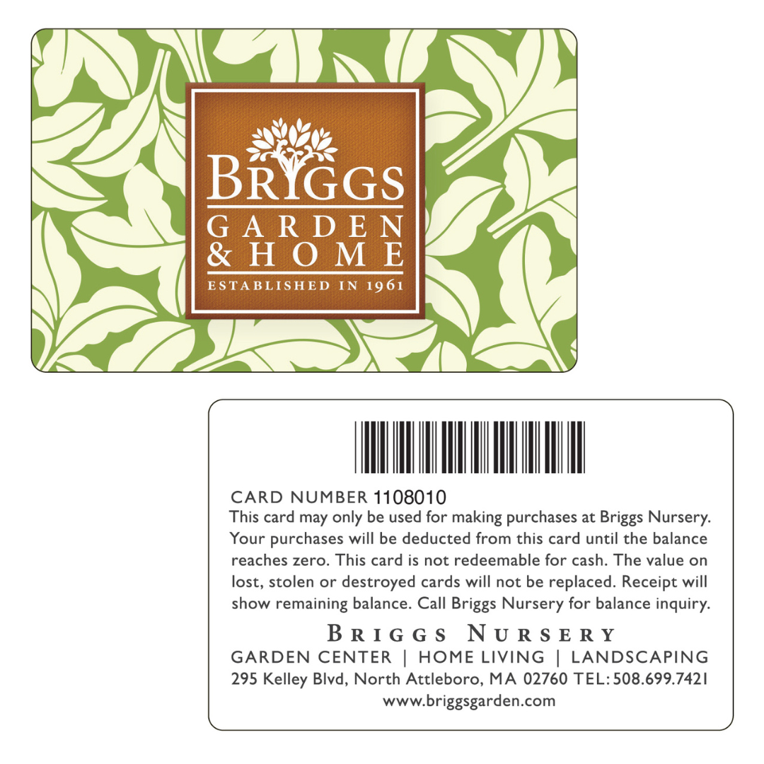 PC_20__1744835041_38