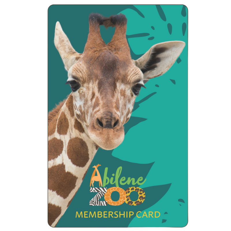 PC_20__1___1736528051_142